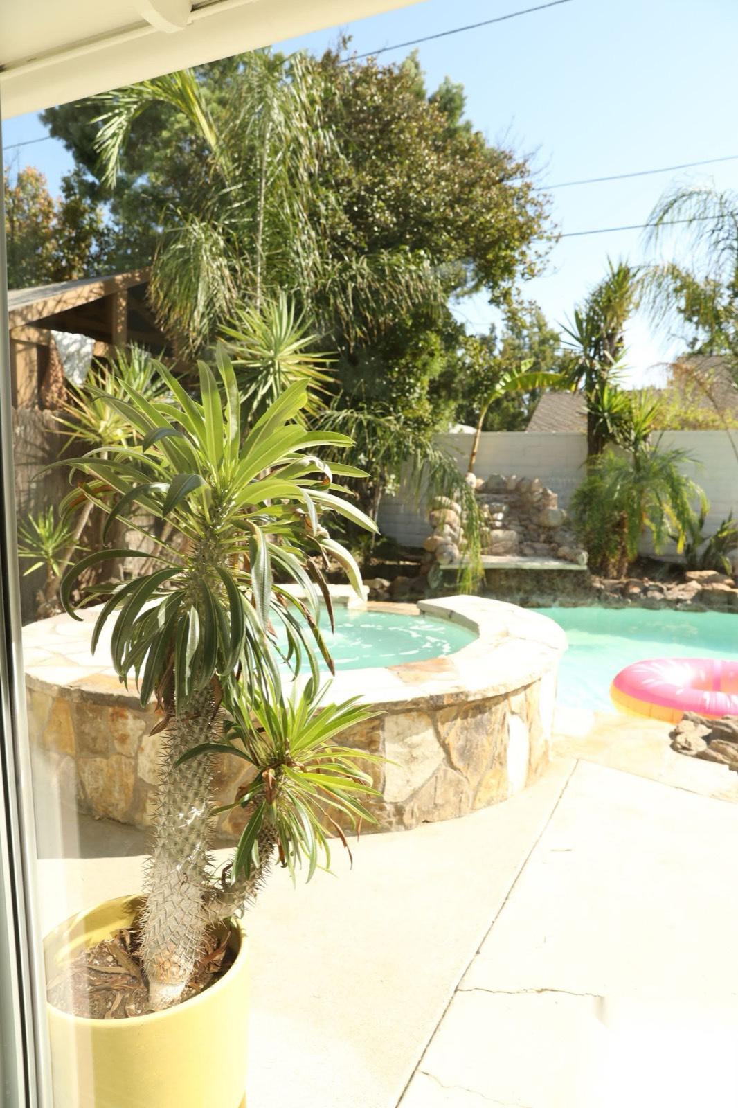 Modern M Century Home w cool backyard — photo 1