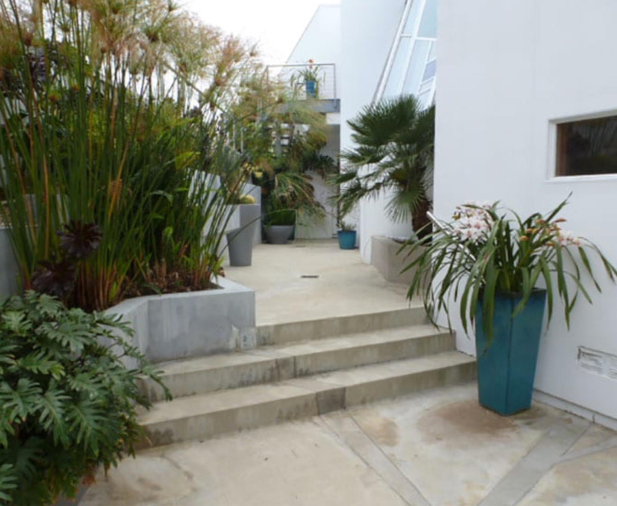 Modern Palisades House — photo 8