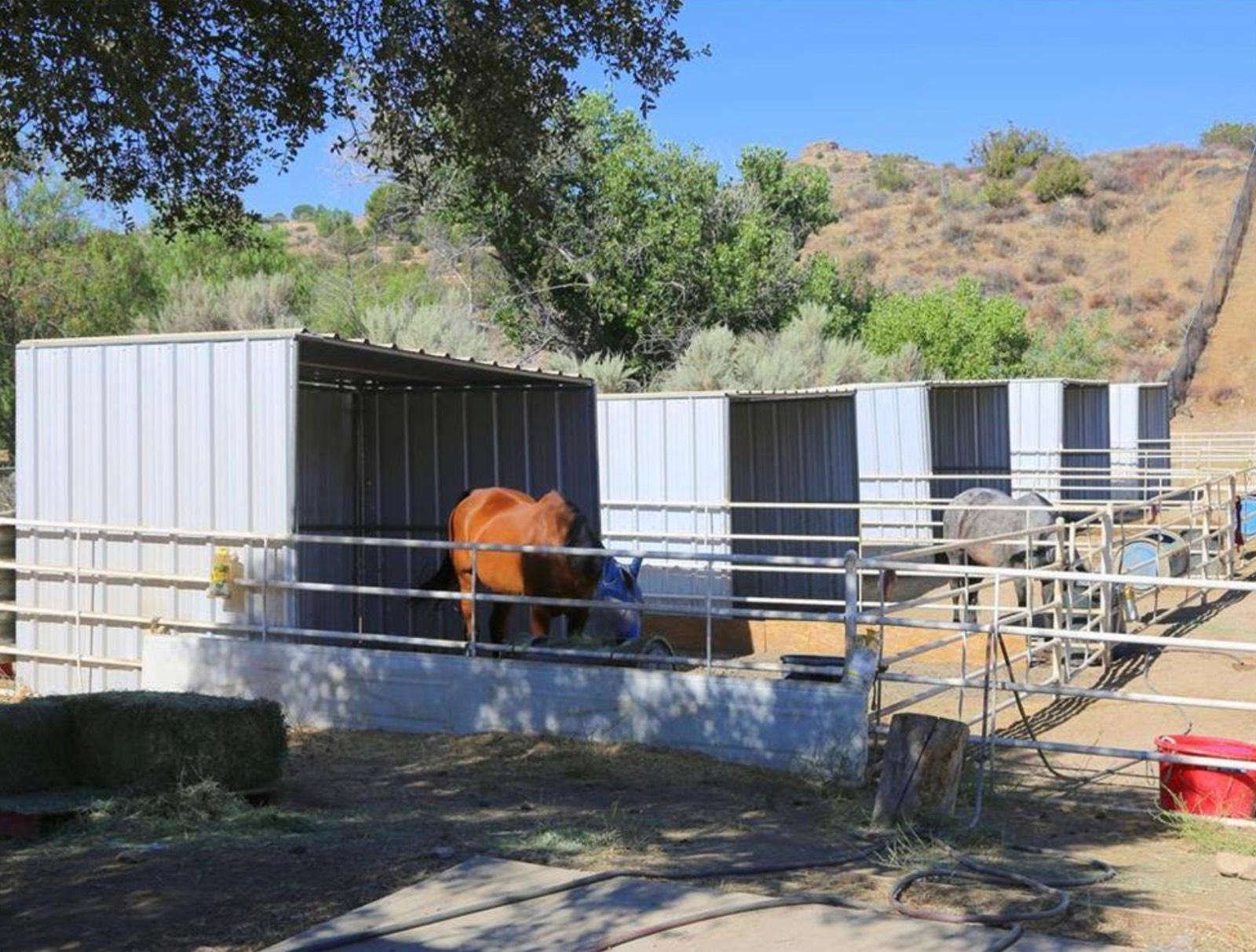 Movie Ranch — photo 10