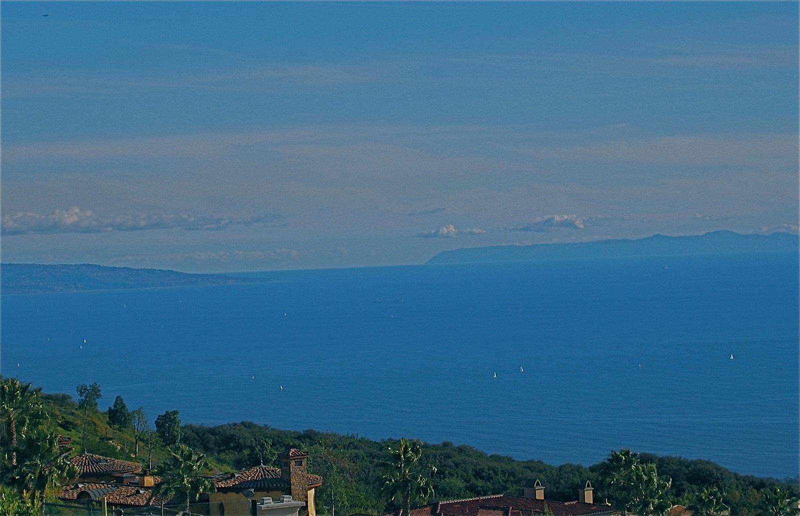 M's Pacific Palisades — photo 1