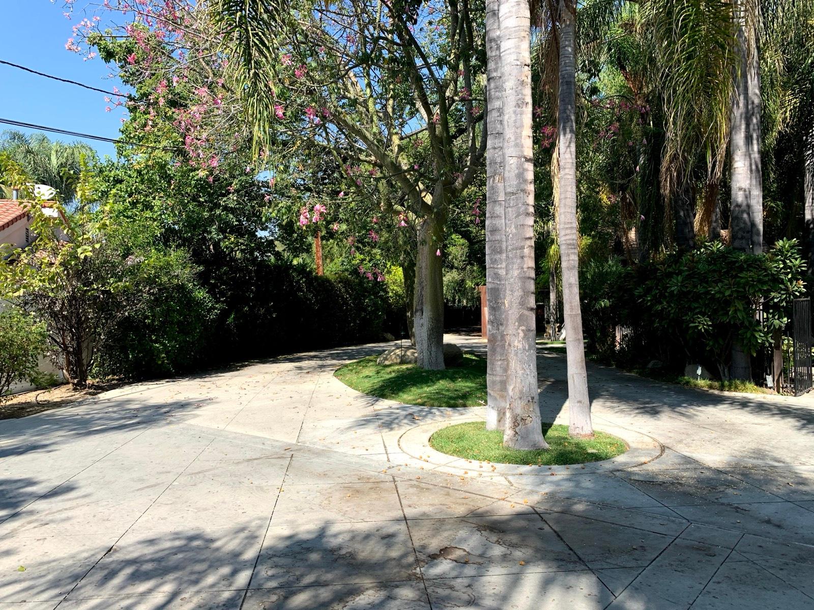 M's Spanish Tropical House — photo 6