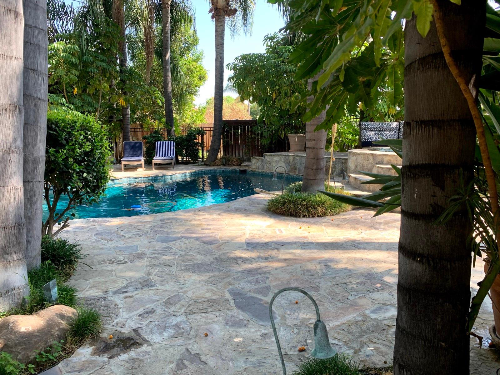 M's Spanish Tropical House — photo 7