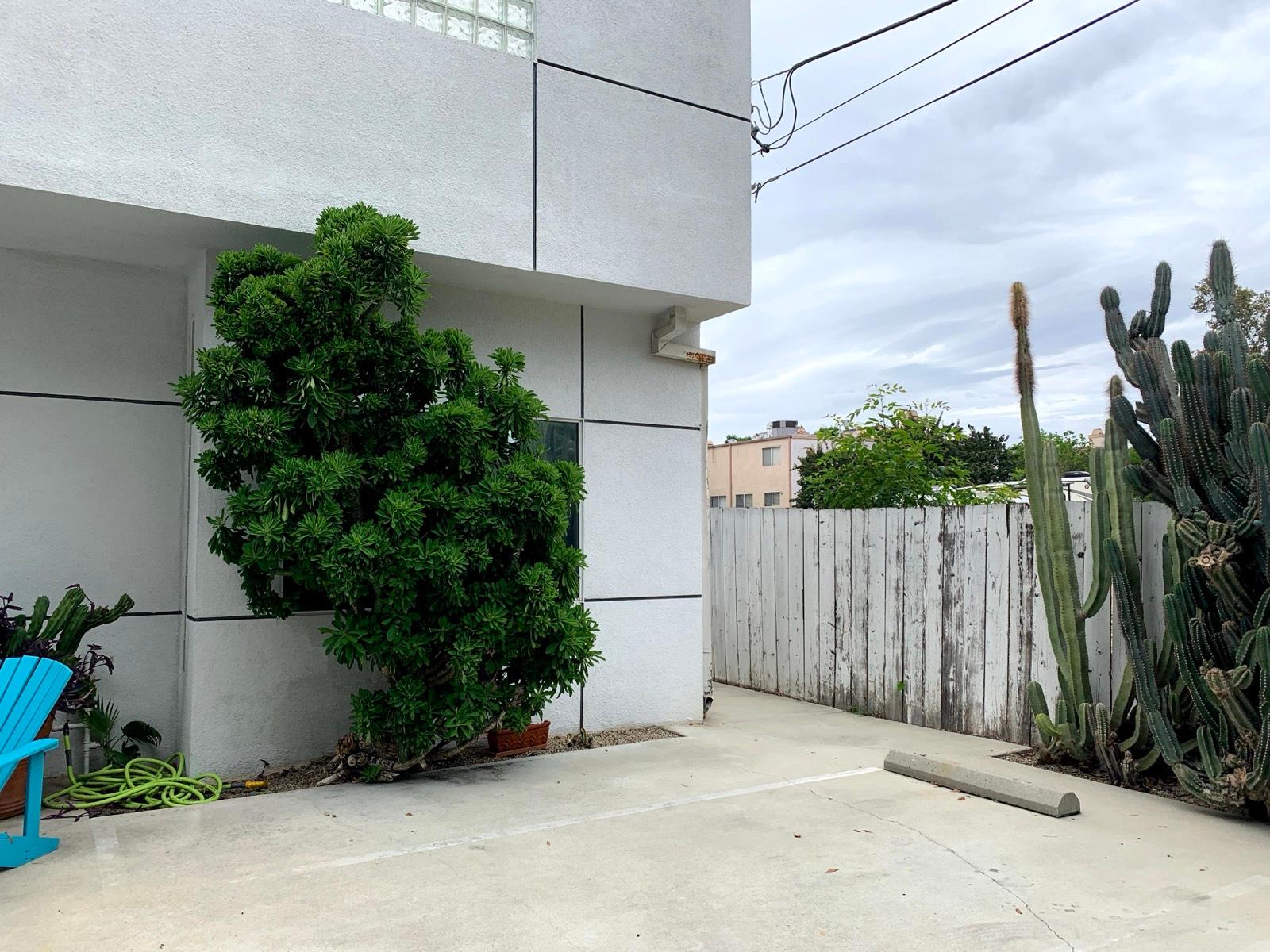 M’s Valley Studio — photo 4