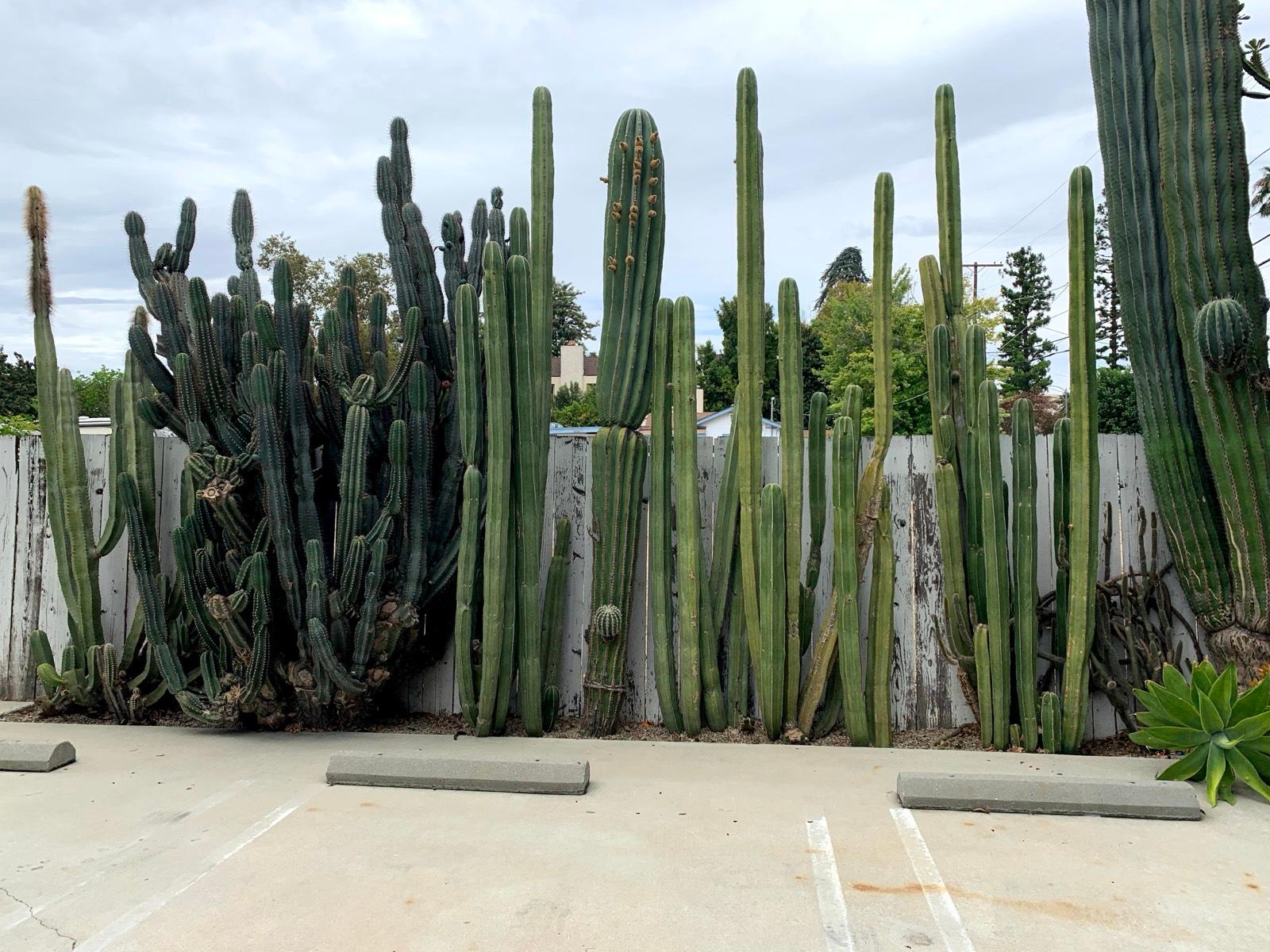 M’s Valley Studio — photo 5