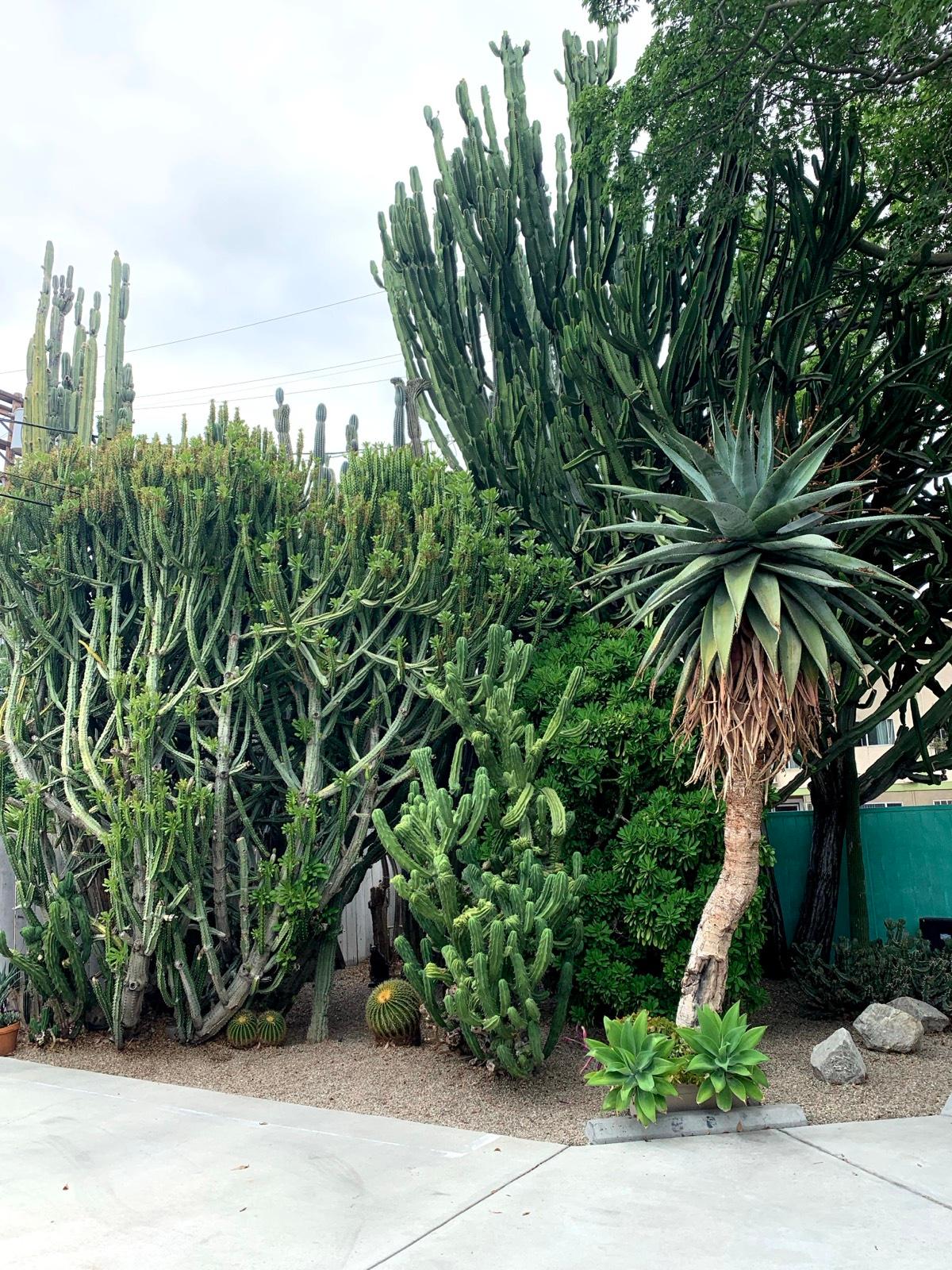 M’s Valley Studio — photo 1
