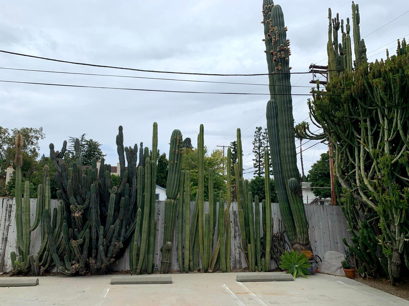 M’s Valley Studio — photo 6