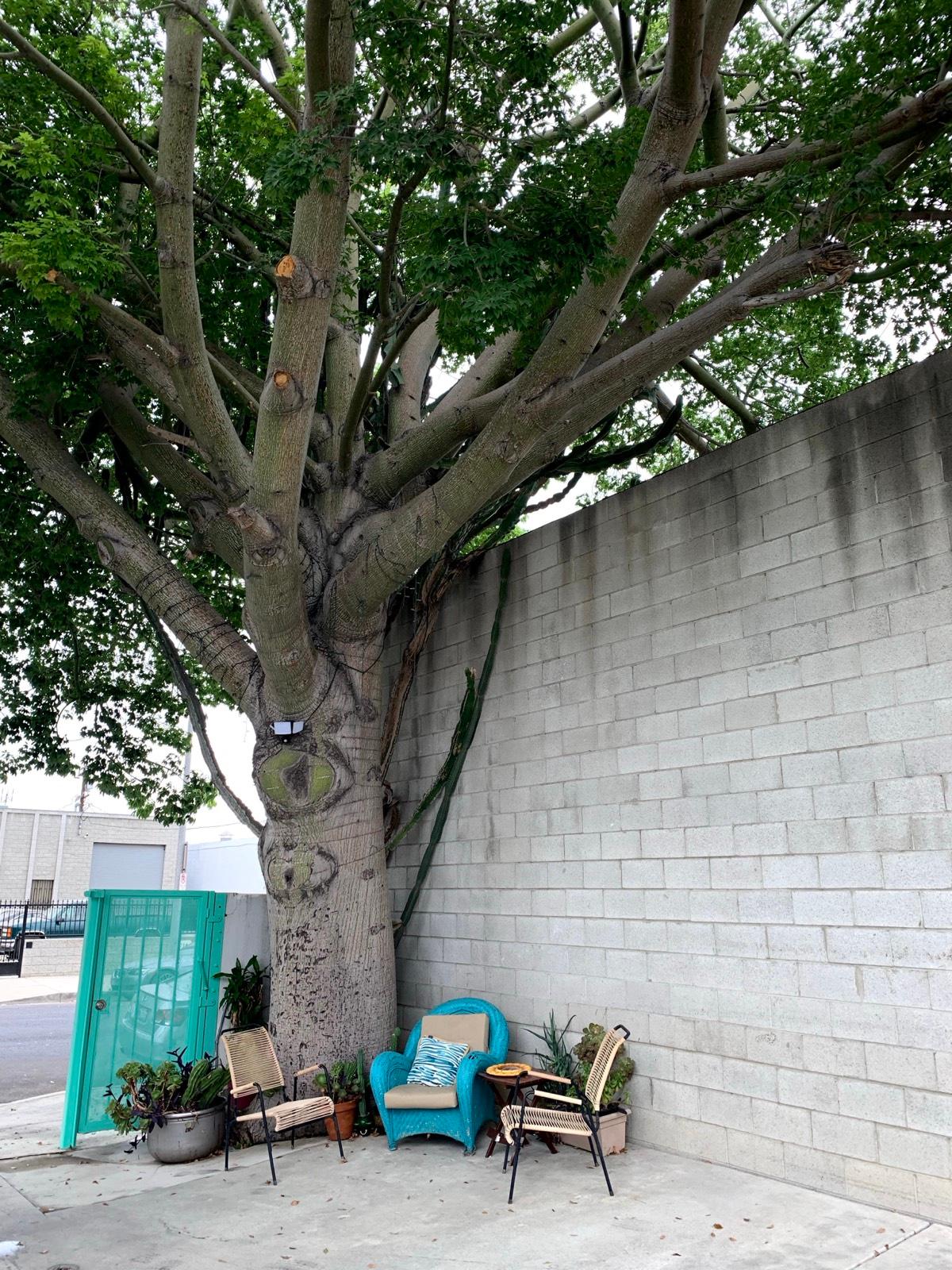 M’s Valley Studio — photo 7