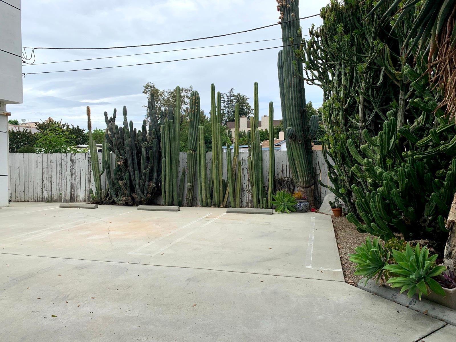 M’s Valley Studio — photo 8