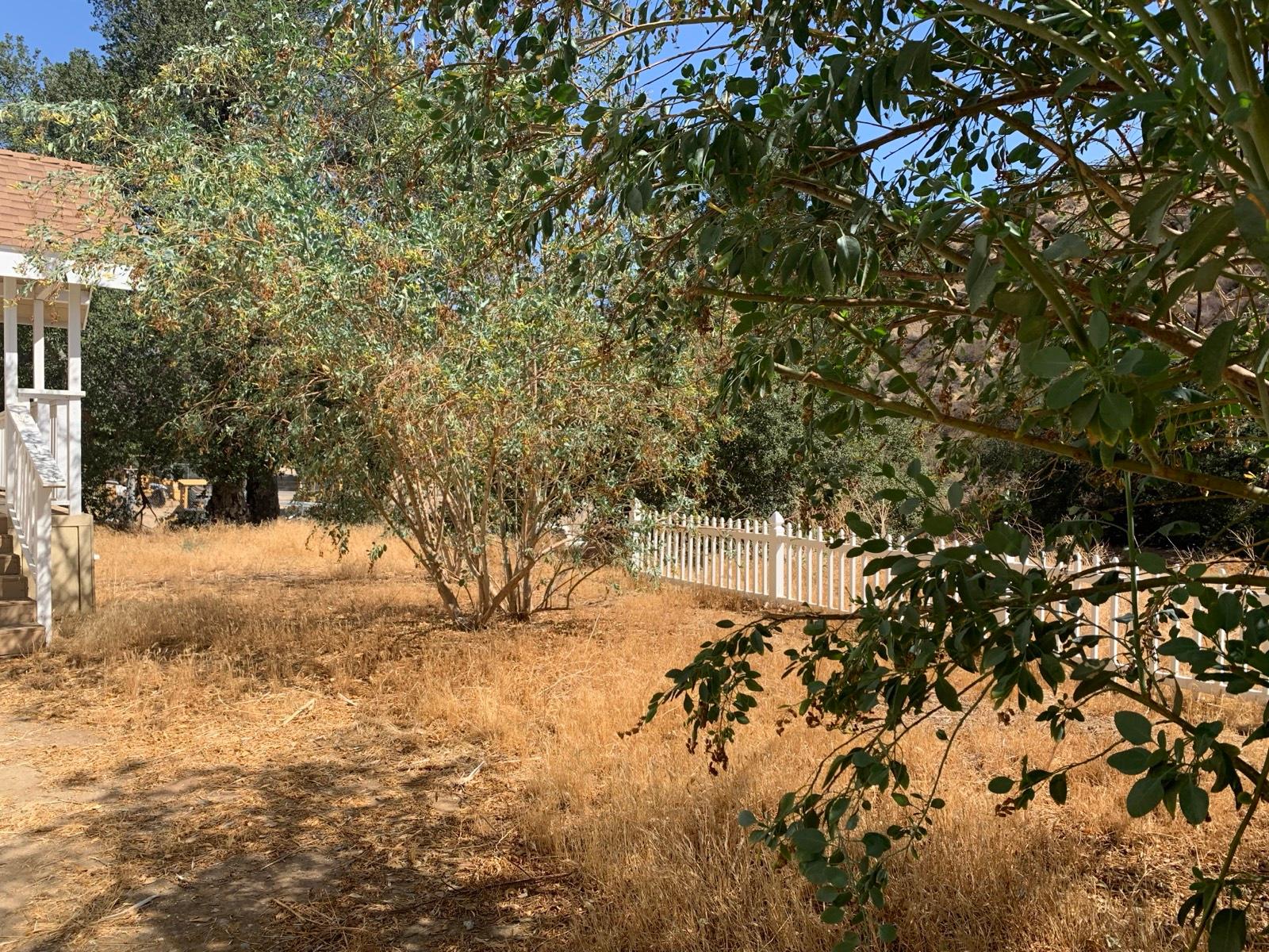 MT's Filming Ranch — photo 2