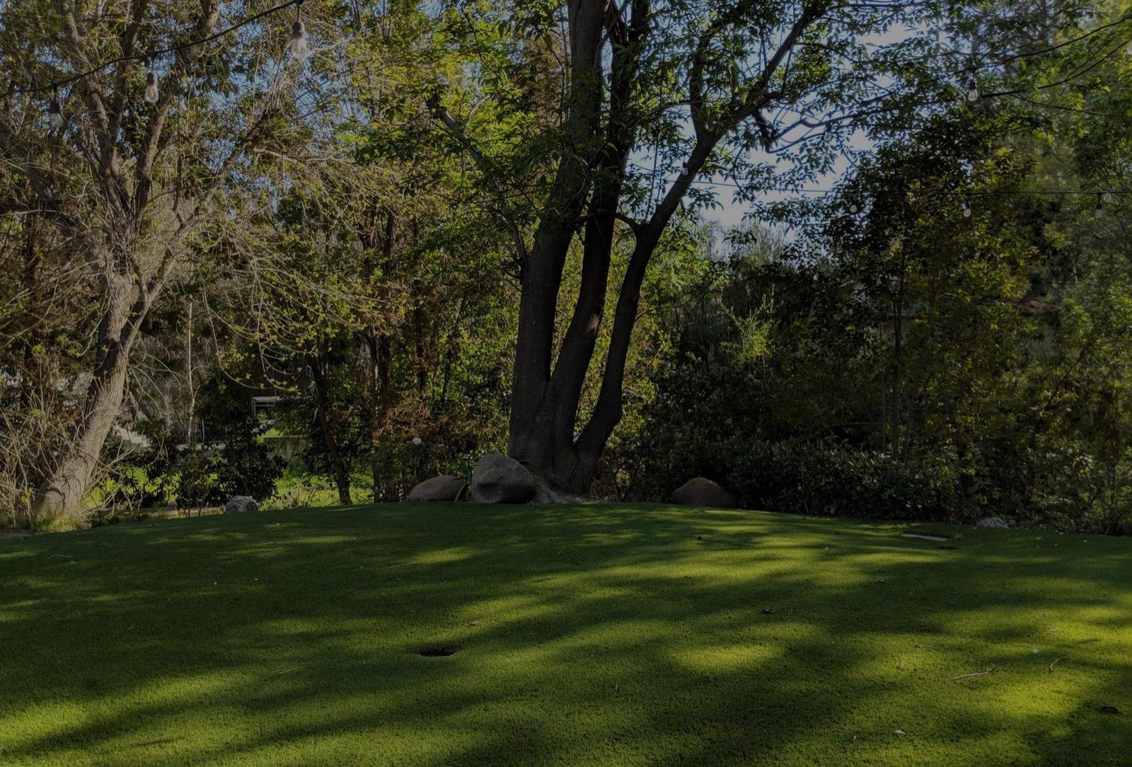 NK Tarzana Home — photo 9
