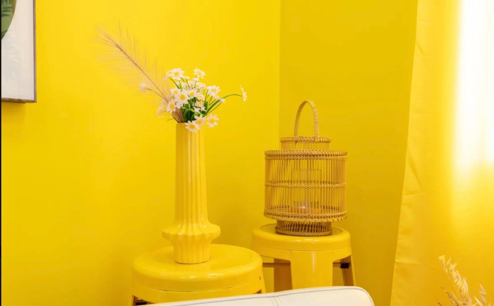 N's Color Block Studio — photo 5