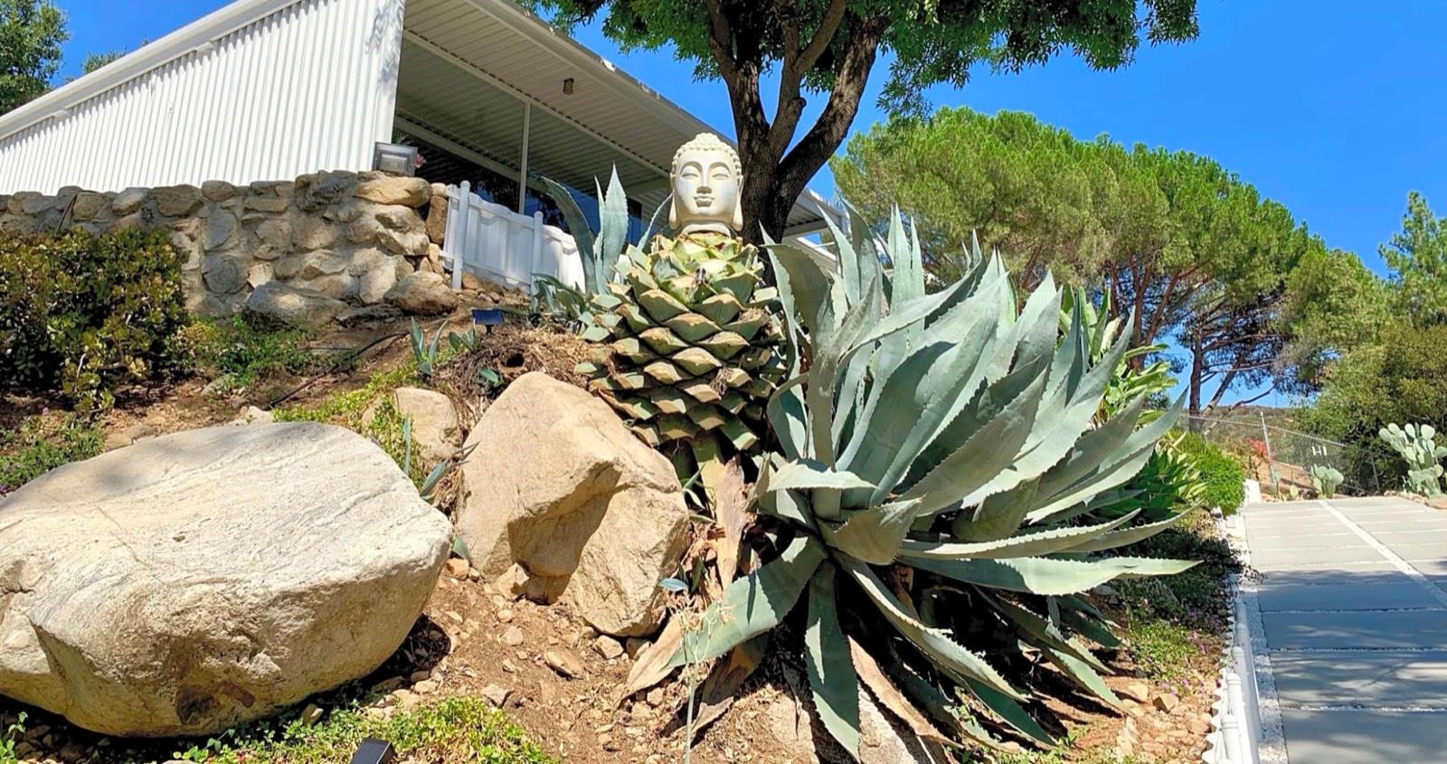 N's Midcentury Hill Home — photo 2