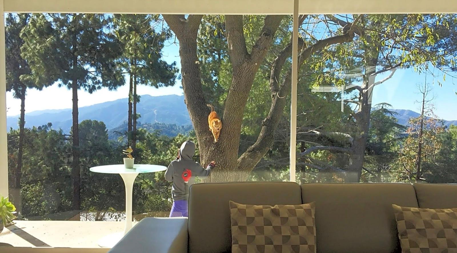 N's Midcentury Hill Home — photo 10