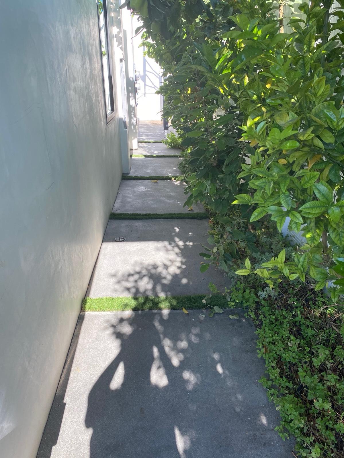 N's Modern arch home — photo 11