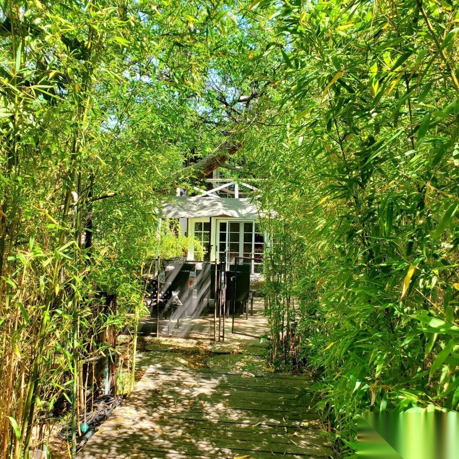 N’s ranch style house — photo 1
