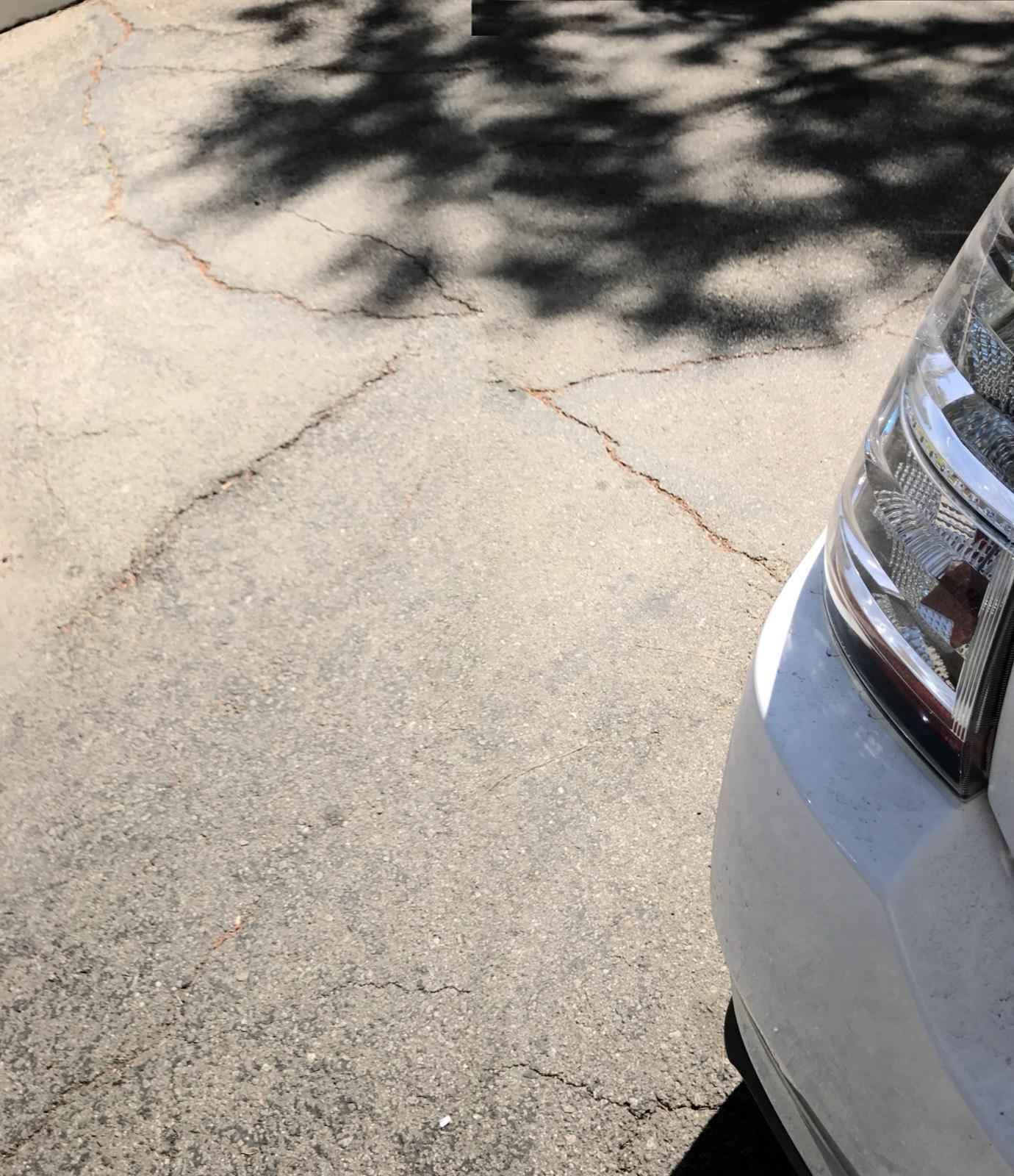 Oakley Dr. House — photo 7