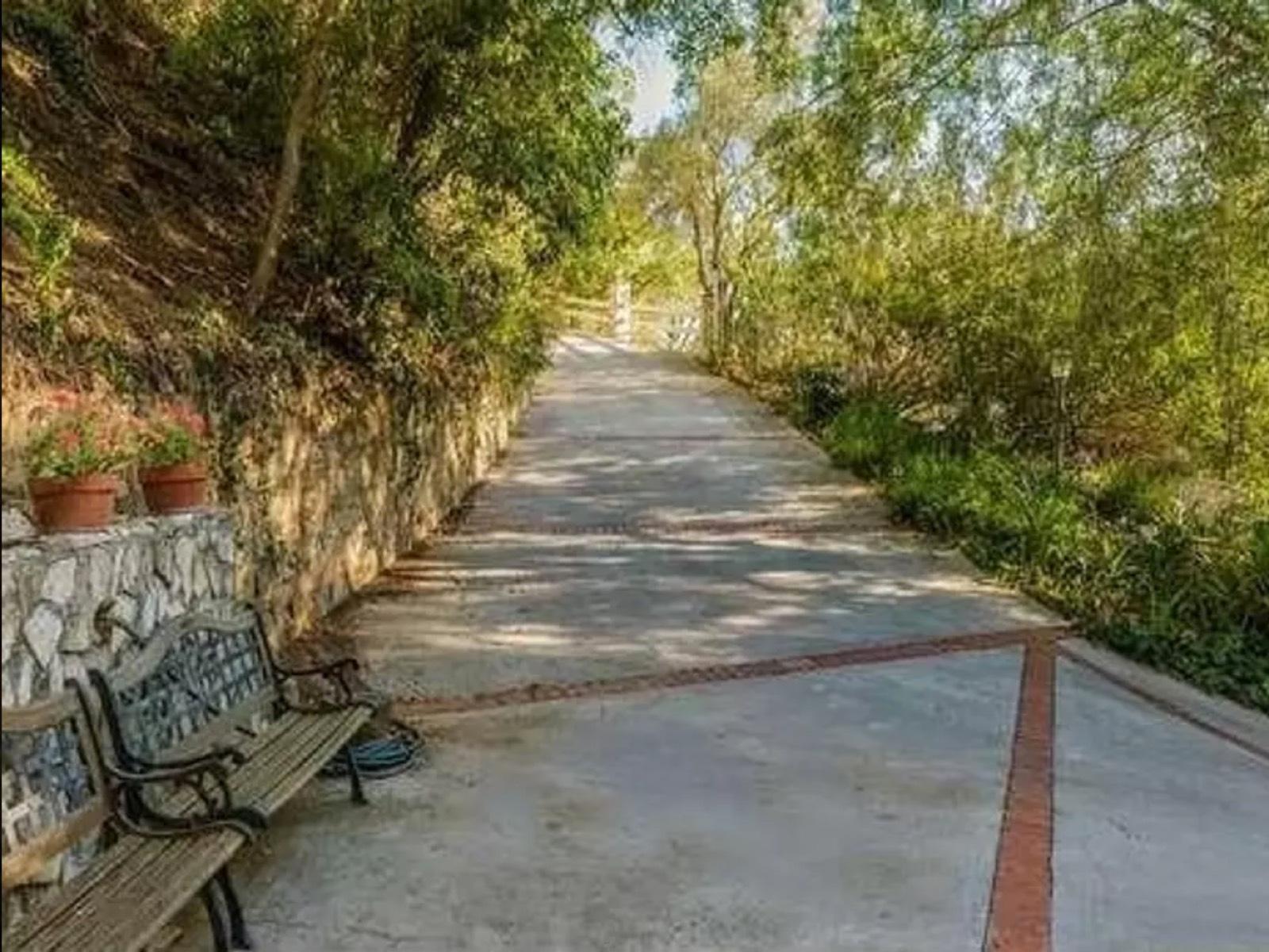 Old World BH Mansion — photo 7