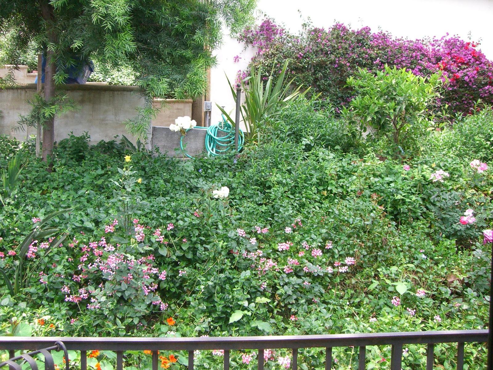 Pamela House — photo 4