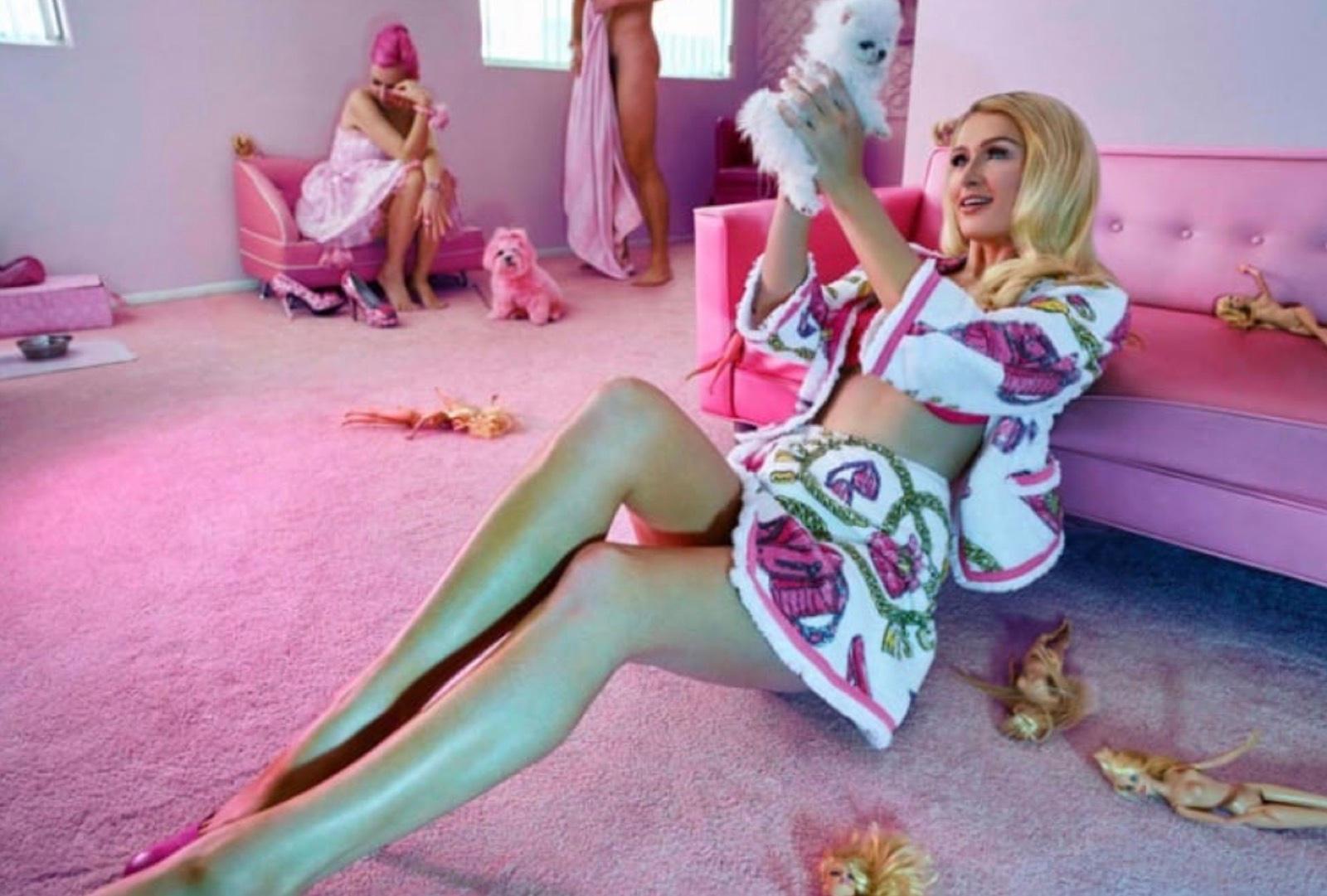 Pink dollhouse — photo 8