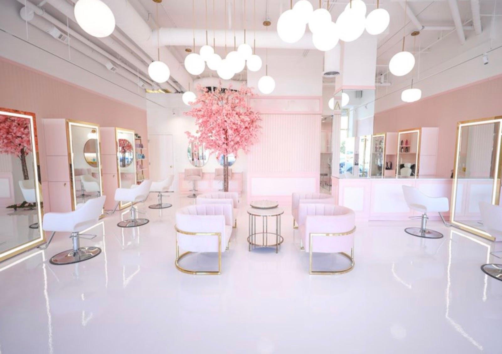 Pink Hair Salon — photo 2