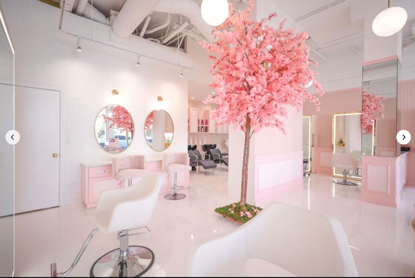 Pink Hair Salon — photo 6