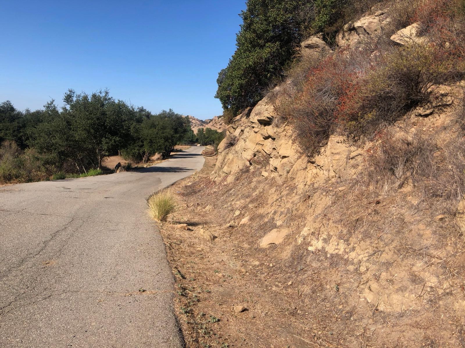 P's Desert Glamping — photo 11