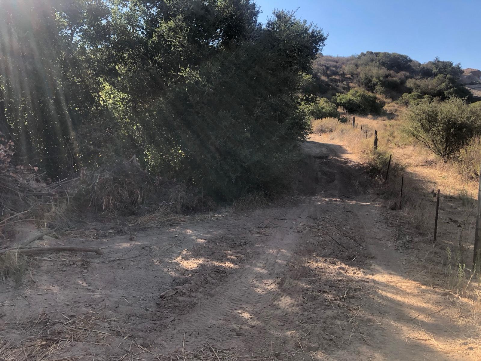 P's Desert Glamping — photo 7