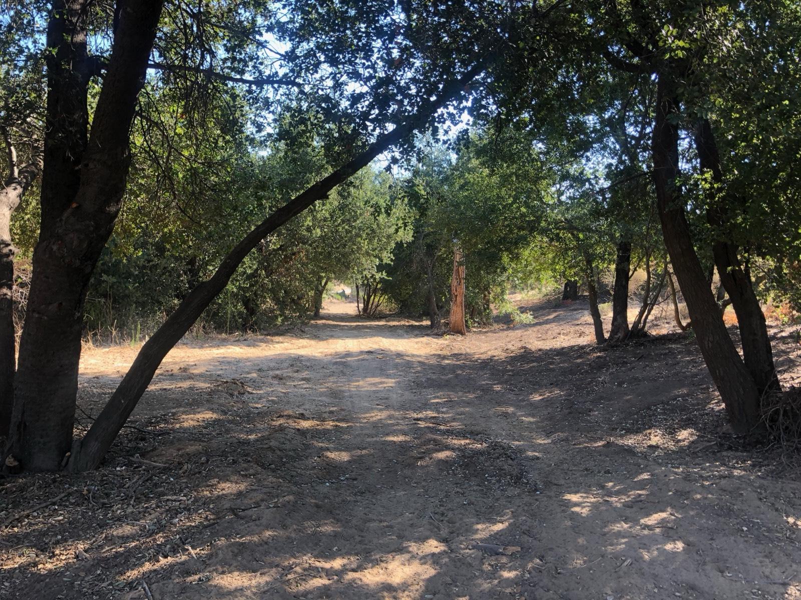 P's Desert Glamping — photo 8