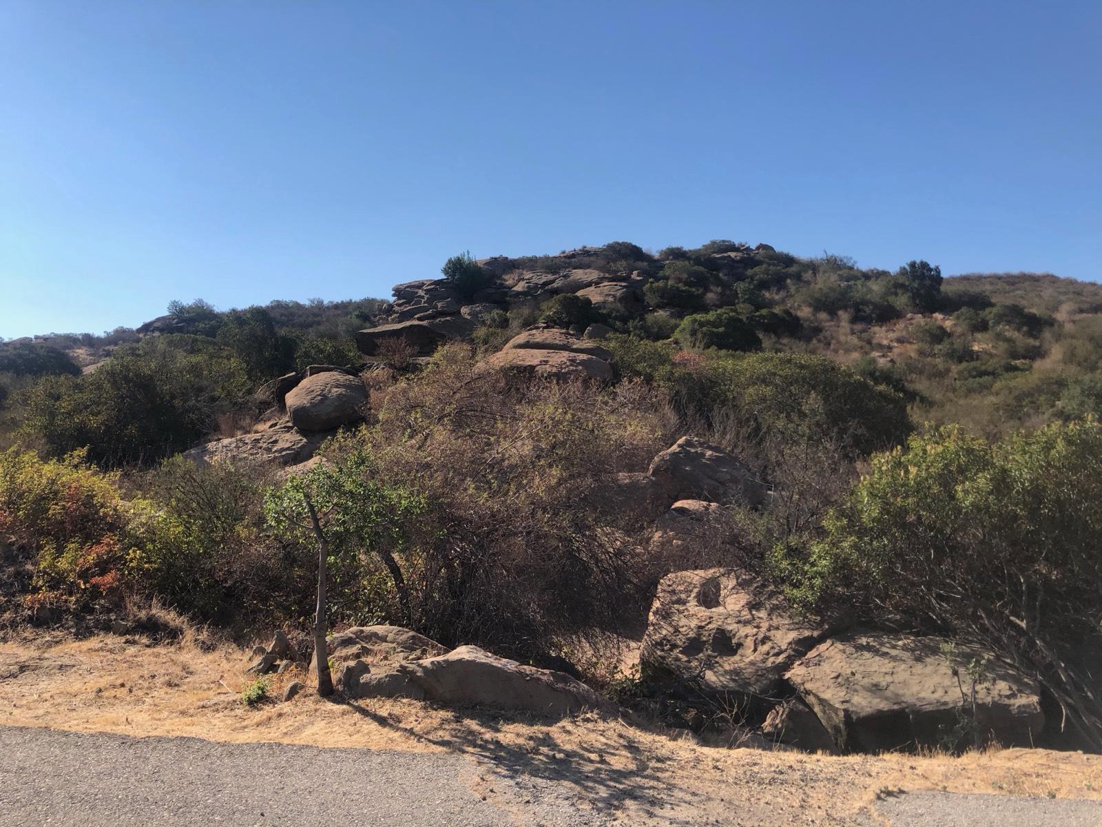P's Desert Glamping — photo 10