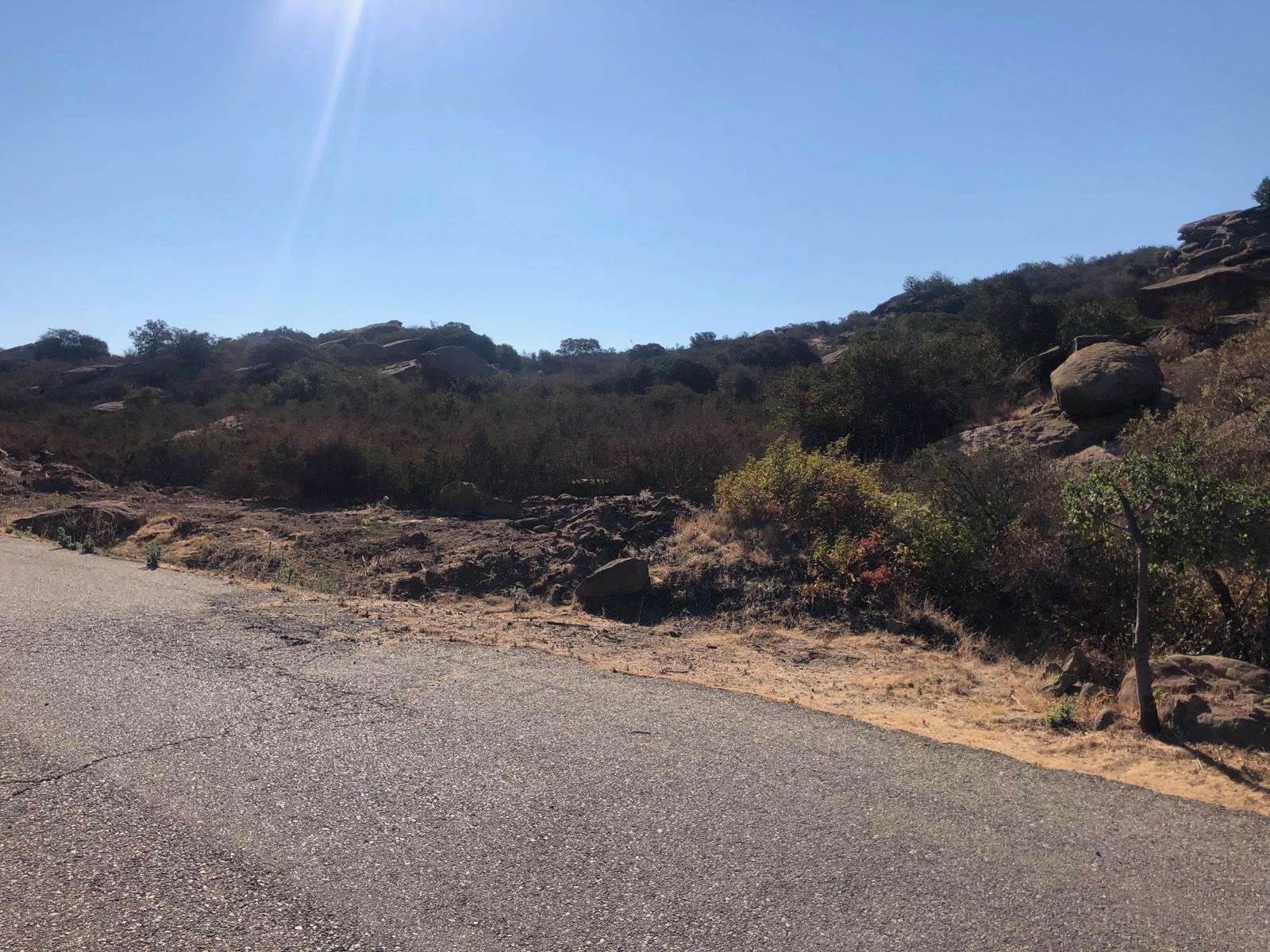 P's Desert Glamping — photo 1