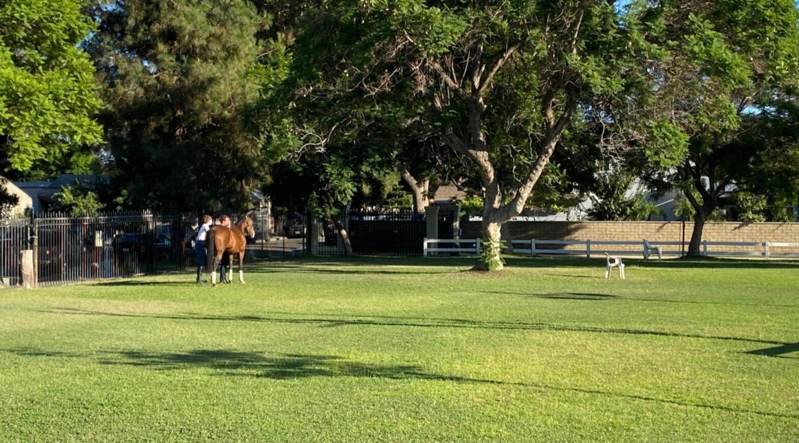 P's Riding Ranch — photo 2