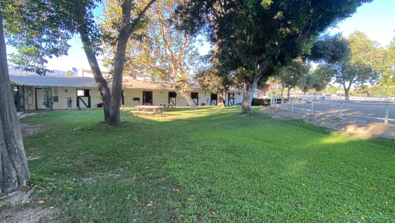 P's Riding Ranch — photo 11