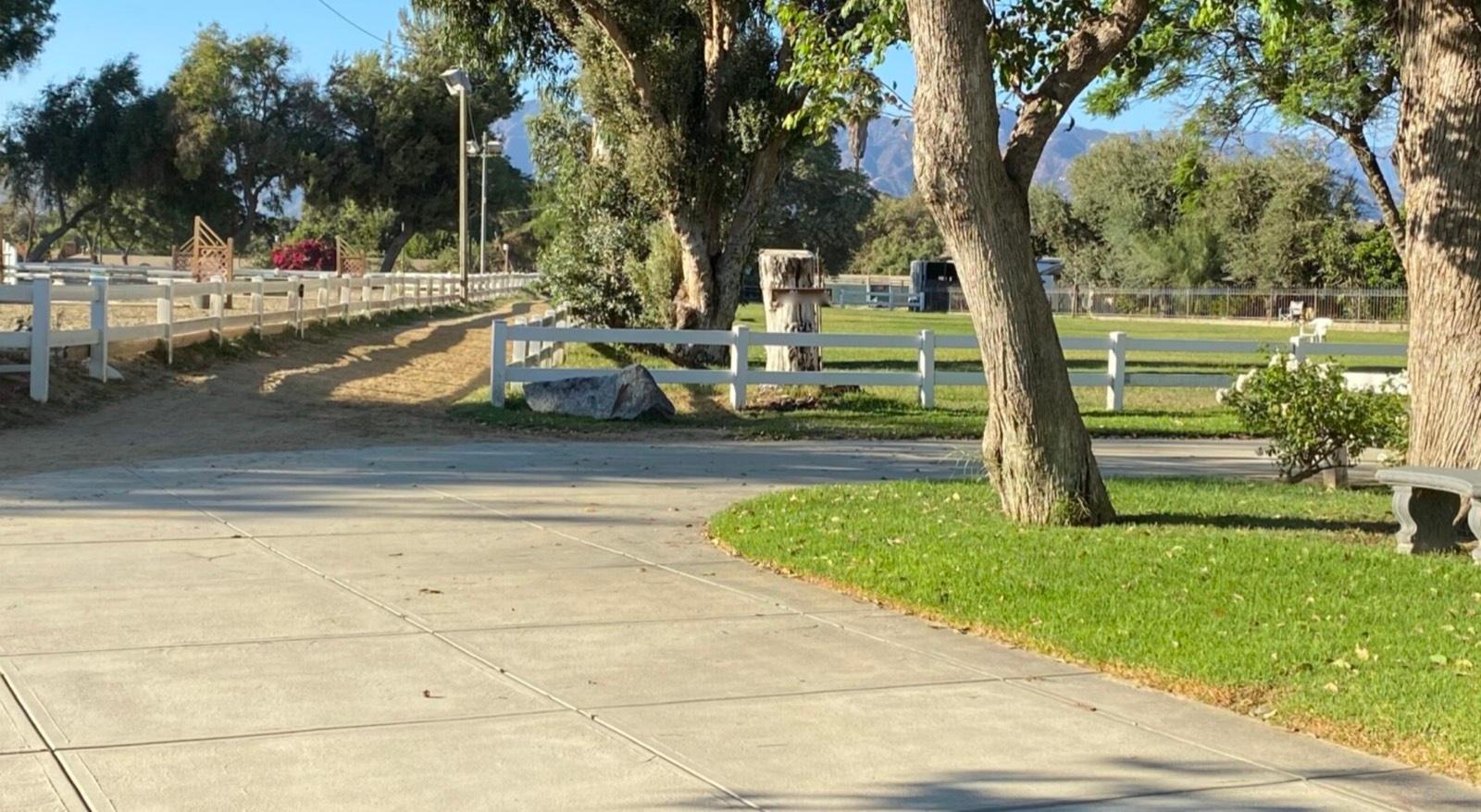 P's Riding Ranch — photo 4