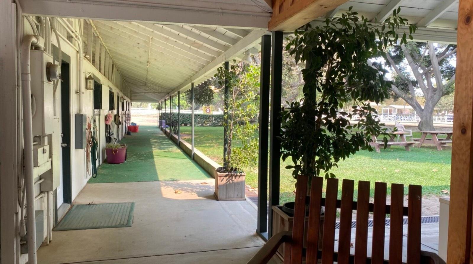 P's Riding Ranch — photo 8
