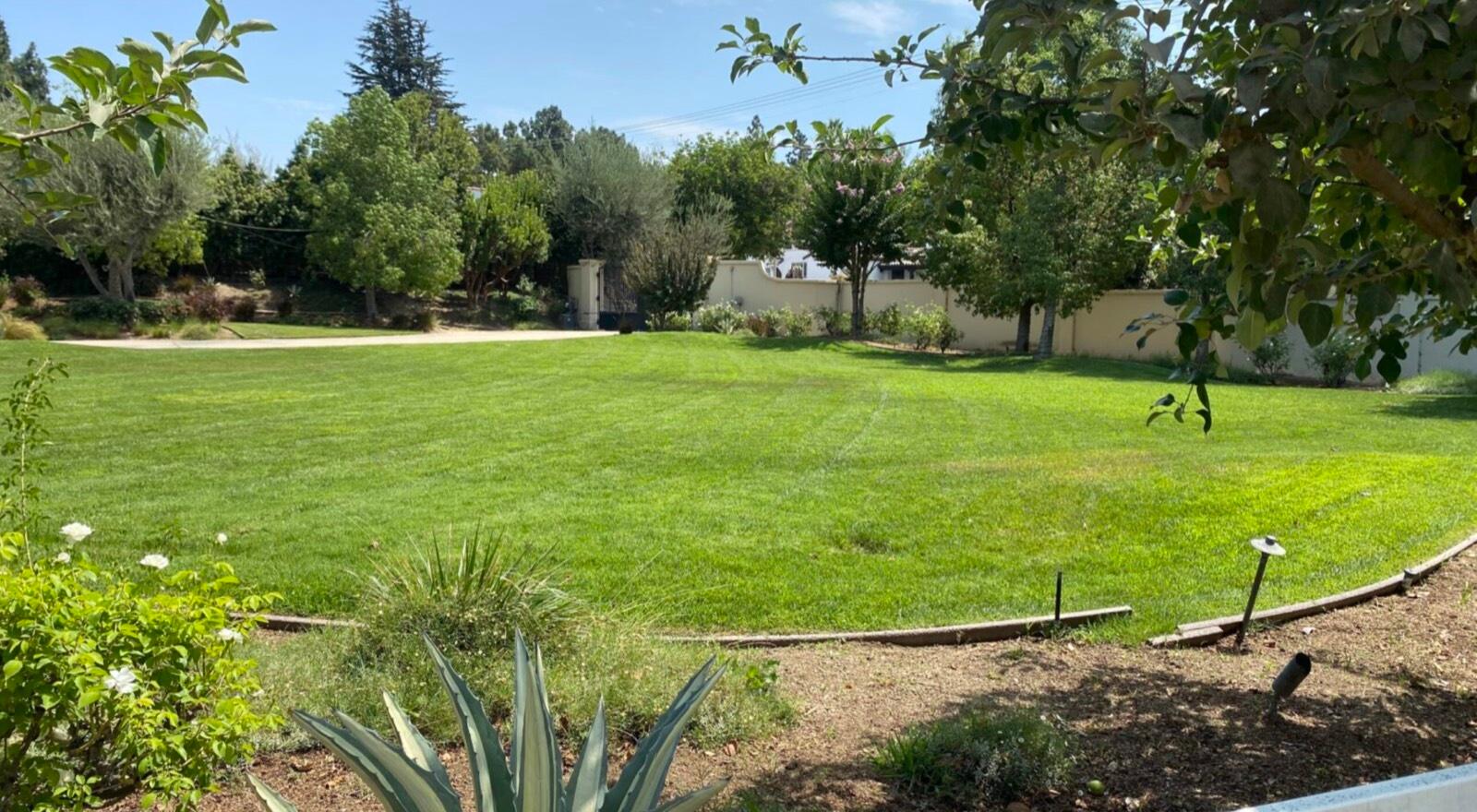 P's Riding Ranch — photo 9