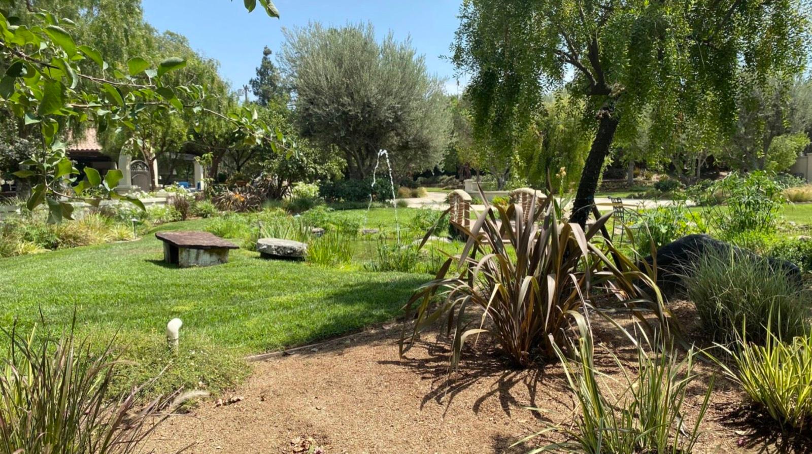 P's Riding Ranch — photo 10