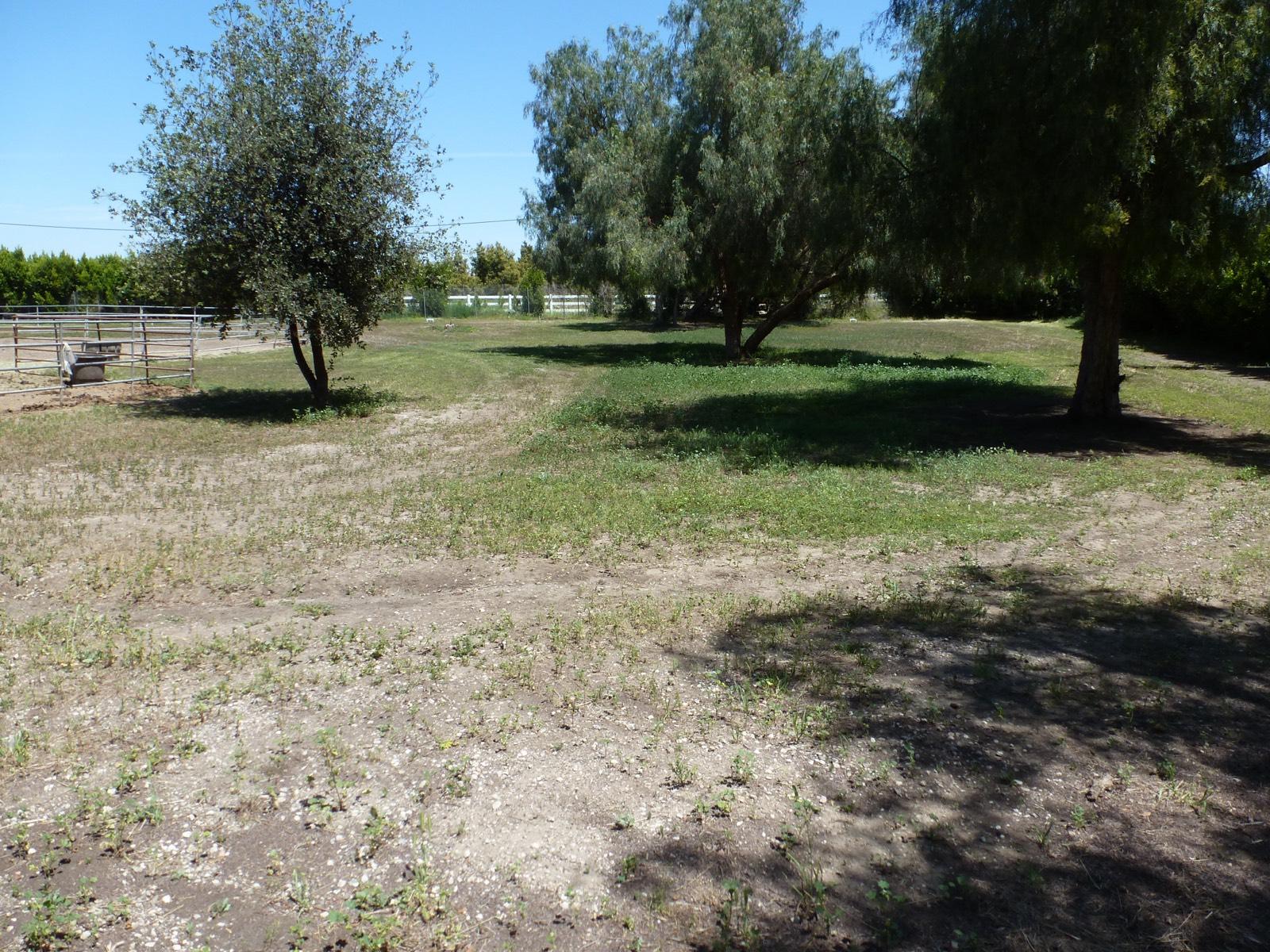 Ranch House Moorpark — photo 5
