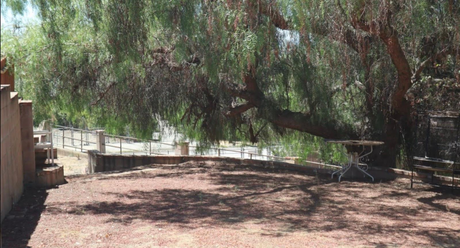 Rp's Private Tennis Ranch — photo 9