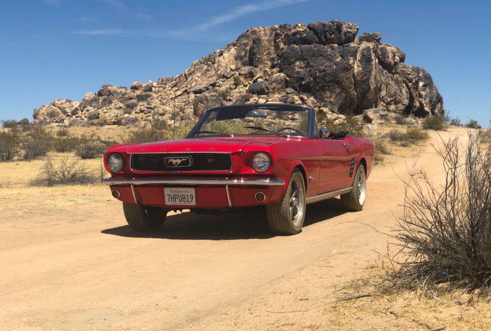 R's Desert Lot — photo 11