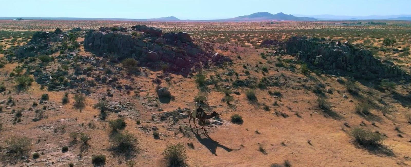 R's Desert Lot — photo 12