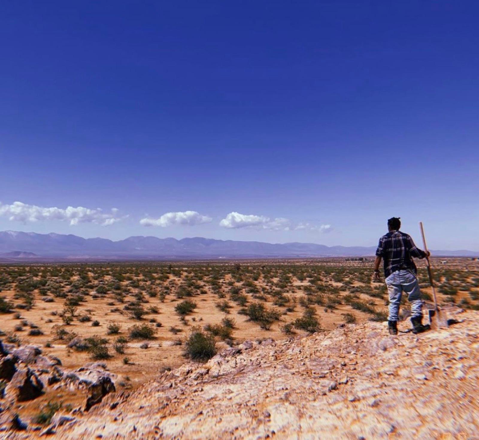 R's Desert Lot — photo 4