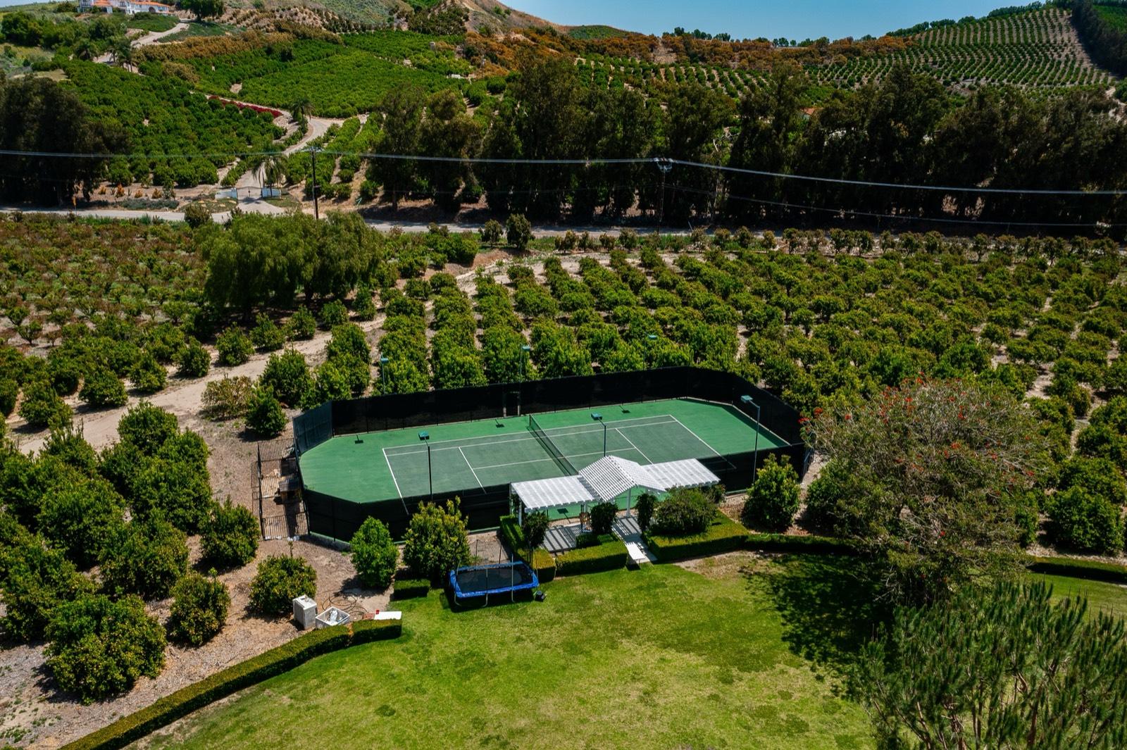 R's Sanctuary Hill Estate 11208 — photo 11