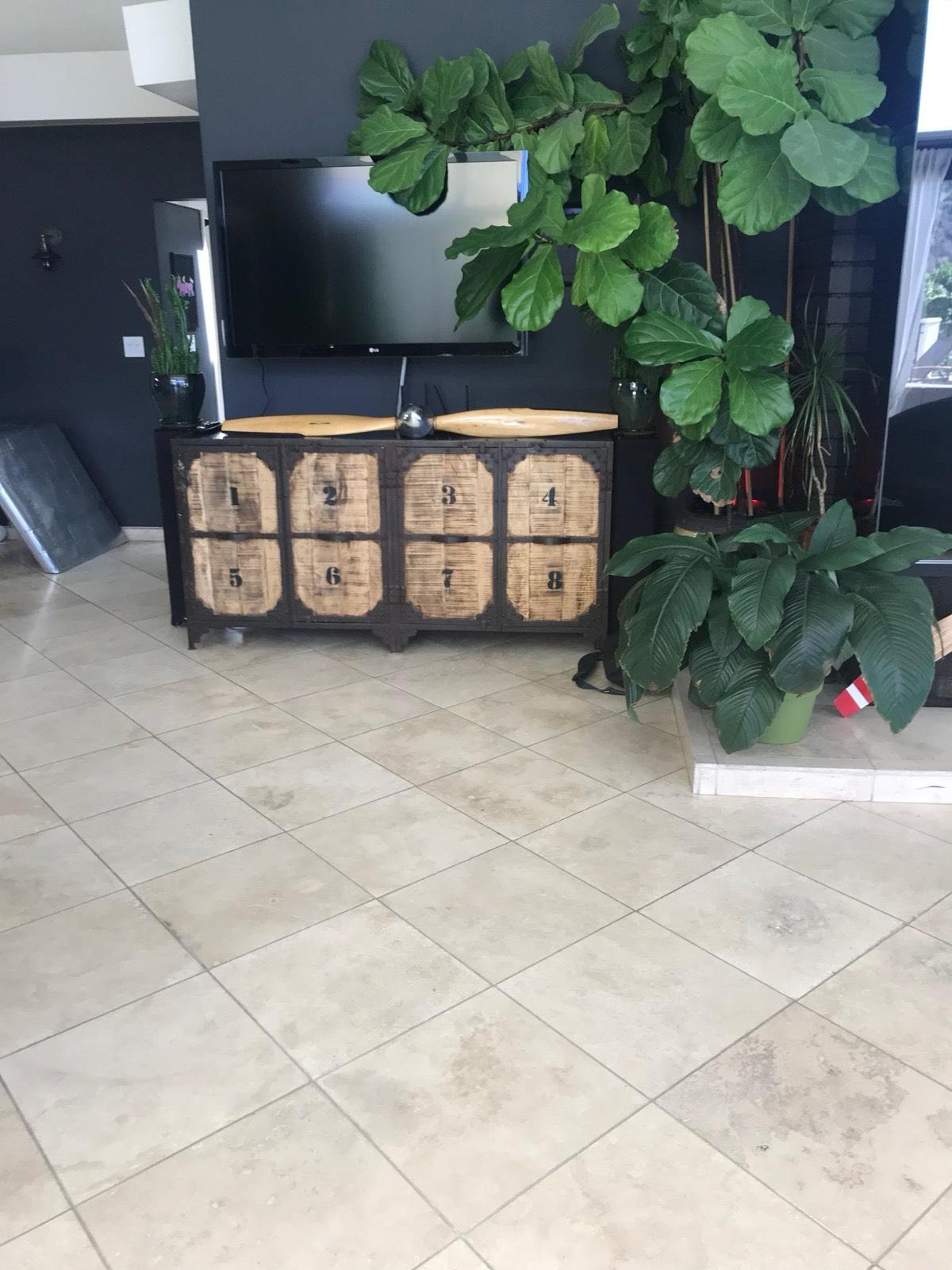 Ryans hollywood hills — photo 12