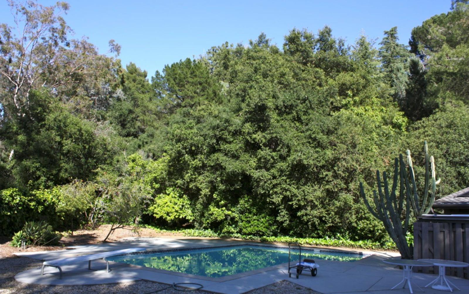 S.P.H Midcentury Home — photo 12