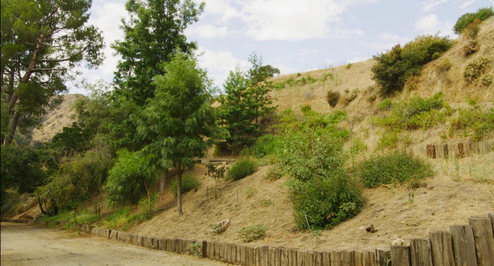 S's Valley Ranch — photo 1