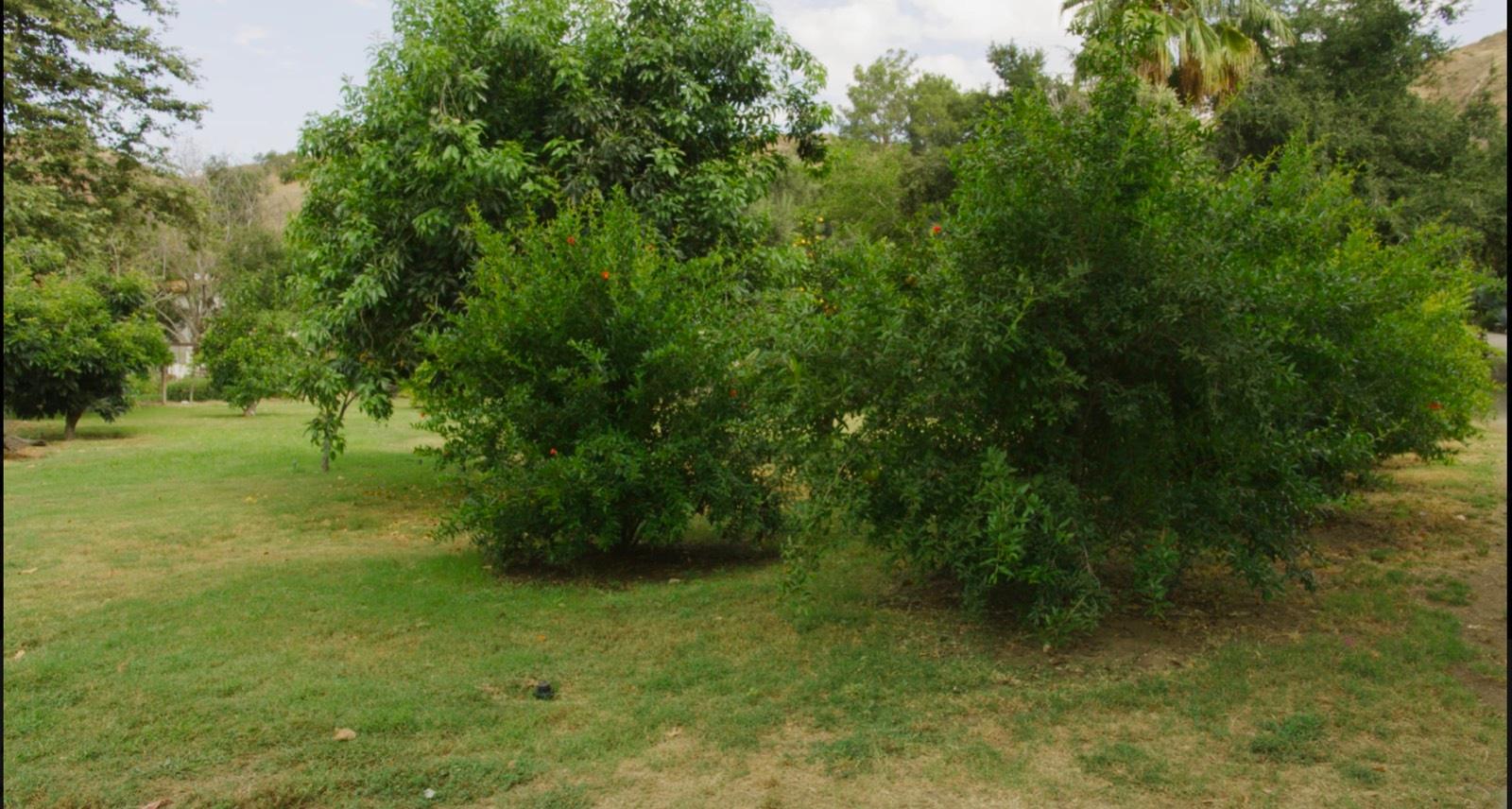 S's Valley Ranch — photo 2