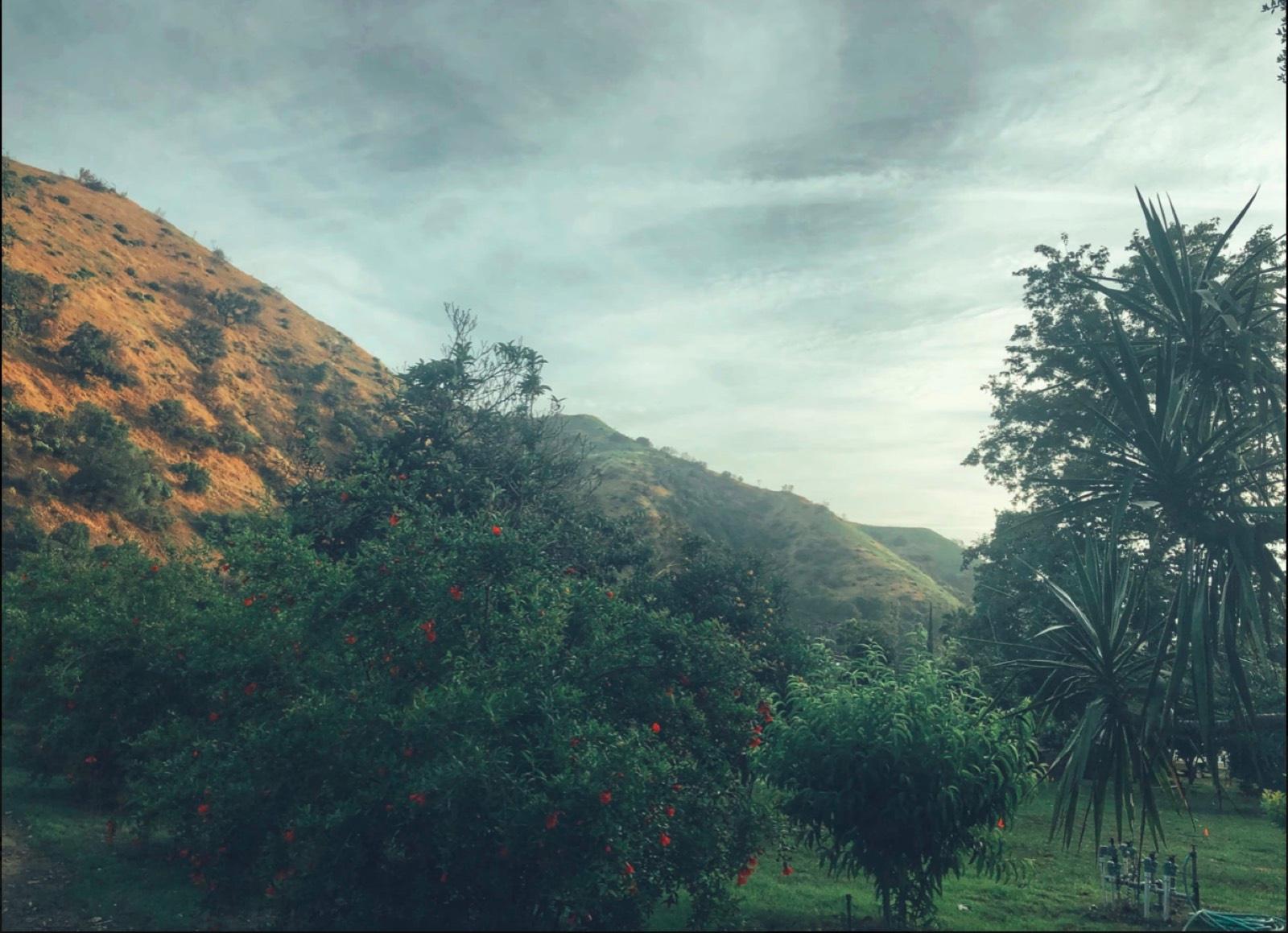 S's Valley Ranch — photo 10