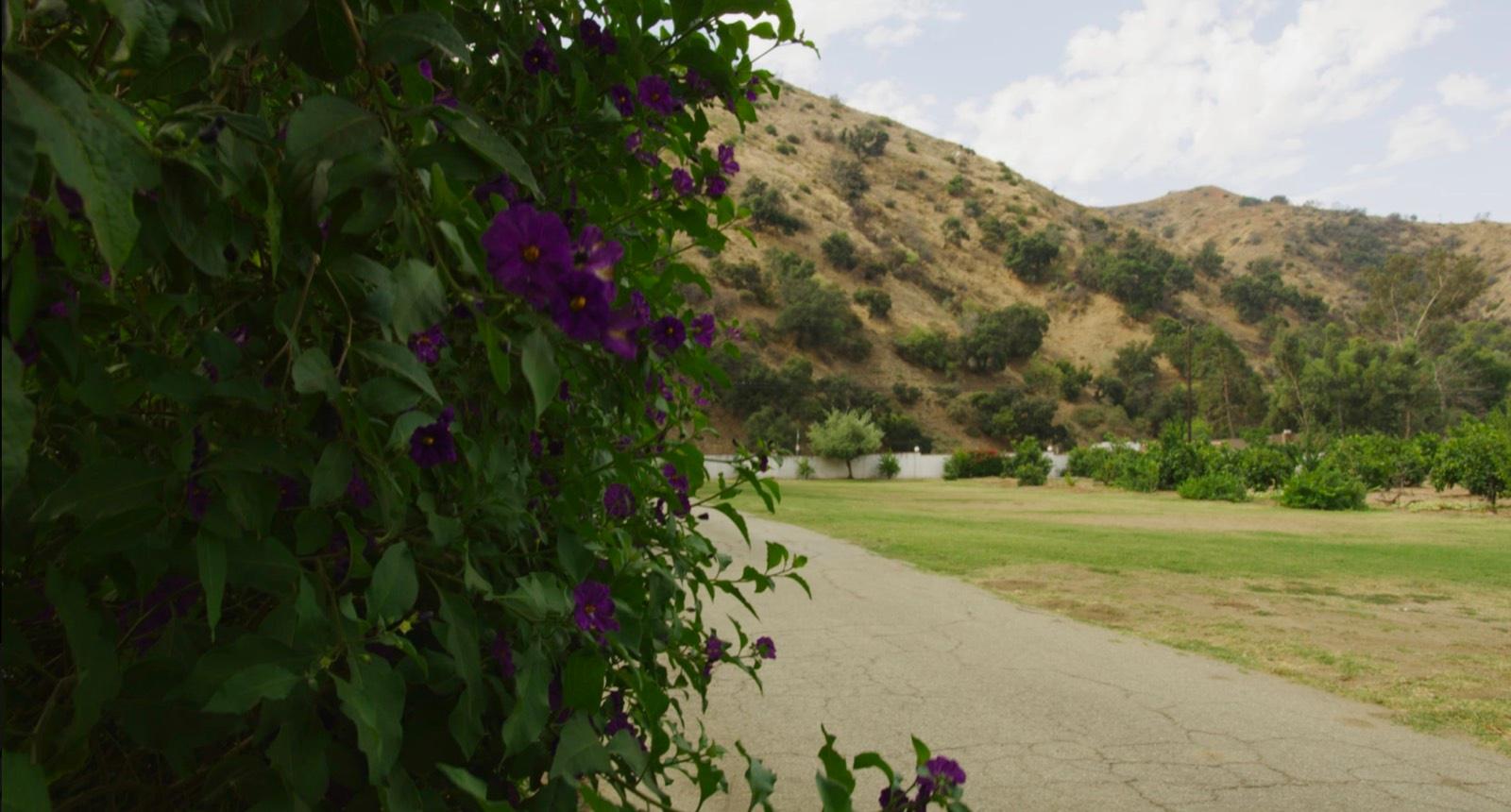 S's Valley Ranch — photo 3