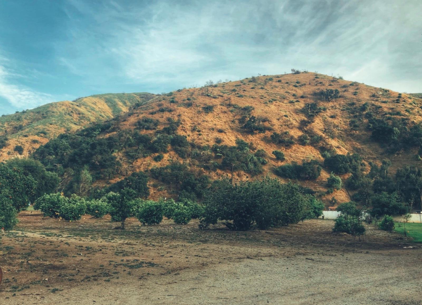 S's Valley Ranch — photo 6