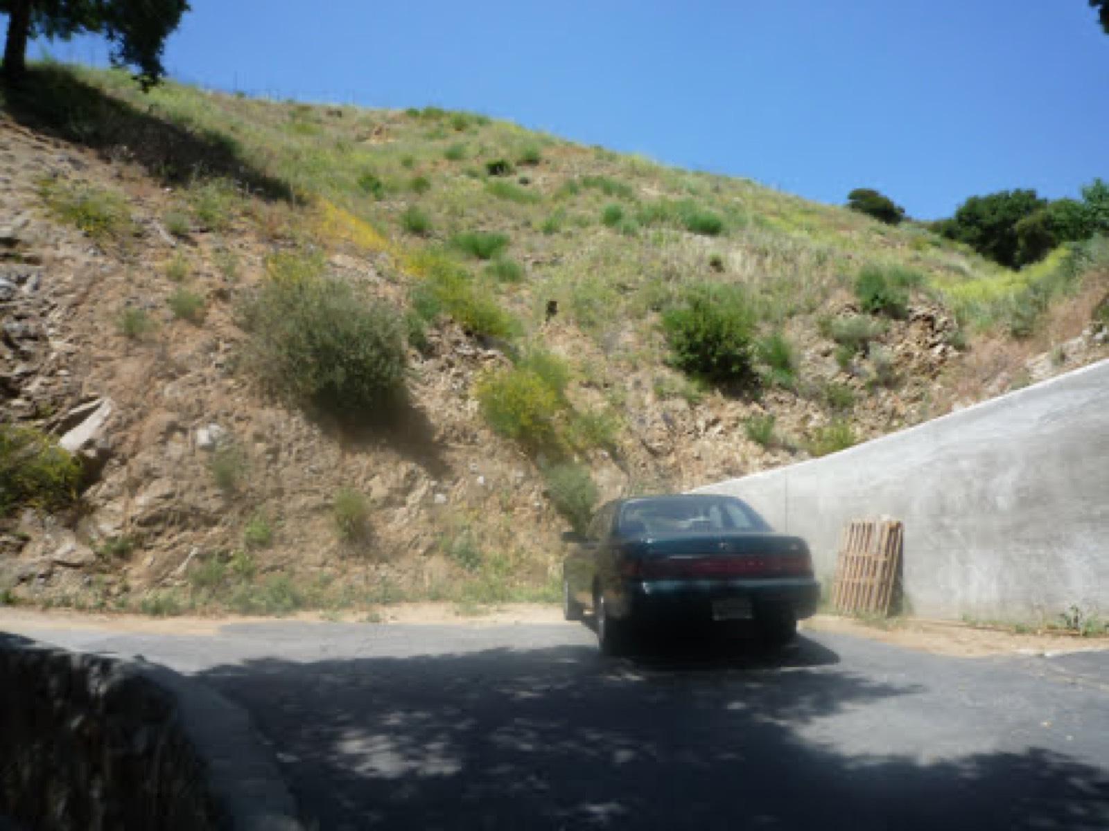 Sun Valley House — photo 3